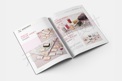 案列-东莞画册设计-LOGO设计-网站建设-宣传片拍摄制作