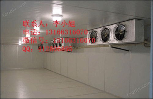 食品厂速冻饺子冷库建造 肉类速冻冷库报价