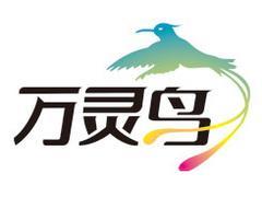 低价网站SEO优化 一流的网站推广优化推荐-漳州市万灵鸟信息技术提供低价网站SEO优化 一流的网站推广优化推荐的相关介绍、产品、服务、图片、价格花卉果蔬电子商务平台、推广策划、SEO优化、网站建设、代运营、软件开发、