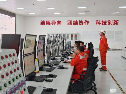 漳州lng高压气化外输系统顺利投产