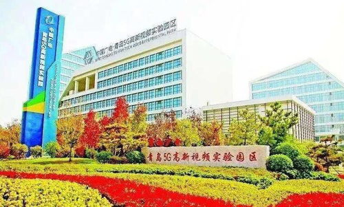 总投资81.7亿元 京东方将在青岛建全球最大移动显示模组单体工厂