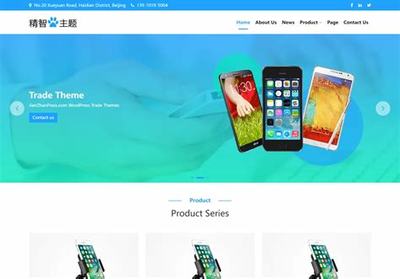 漳州网站建设详细方案模板