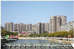 平和县多措并举，全力推进年度目标任务落实，助力漳州网站建设发展